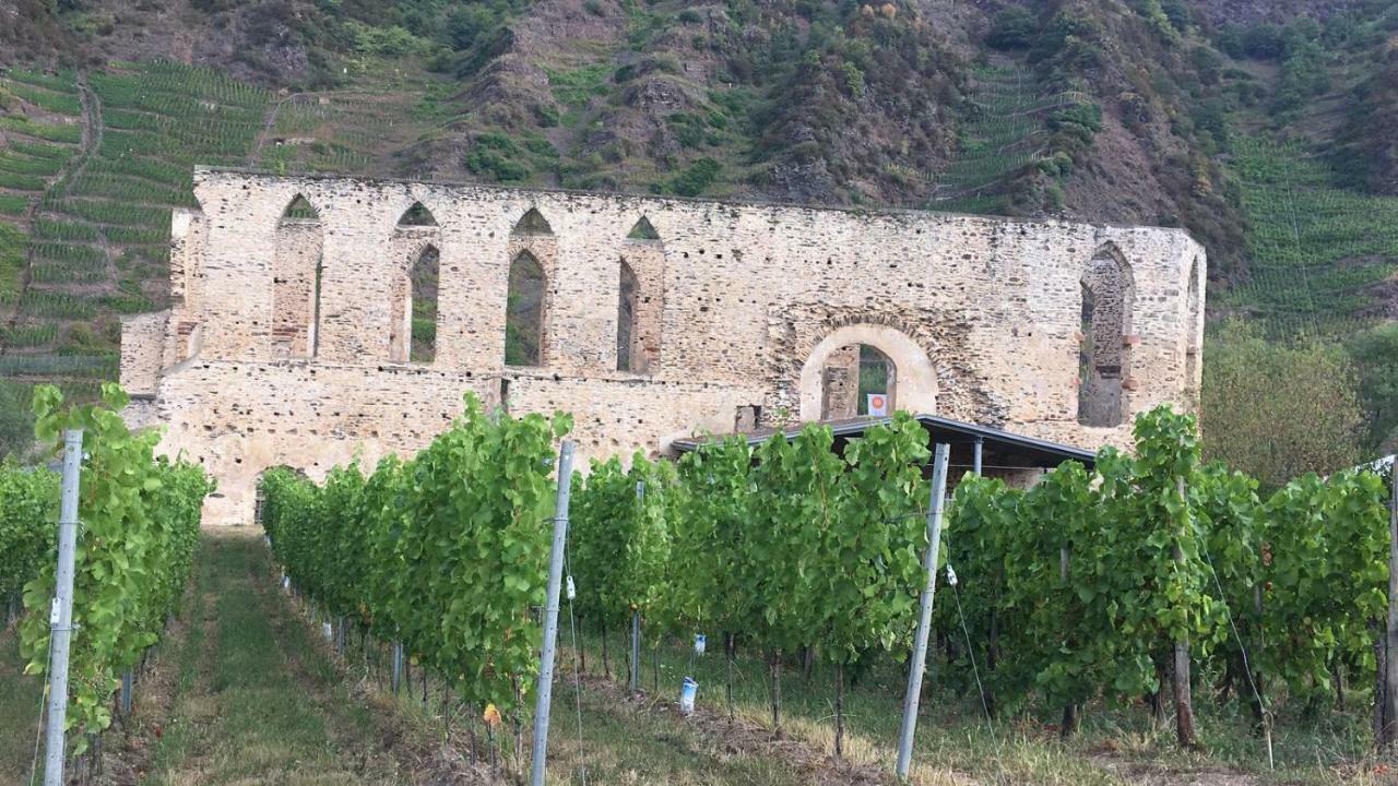 Dolcevita باد بيتريتش المظهر الخارجي الصورة